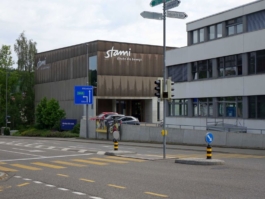 Borgogno Eggenberger und Partner AG Bauingenieure